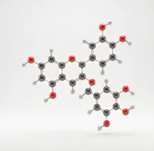 3D model of a plant polyphenol molecule from the botanical blend
